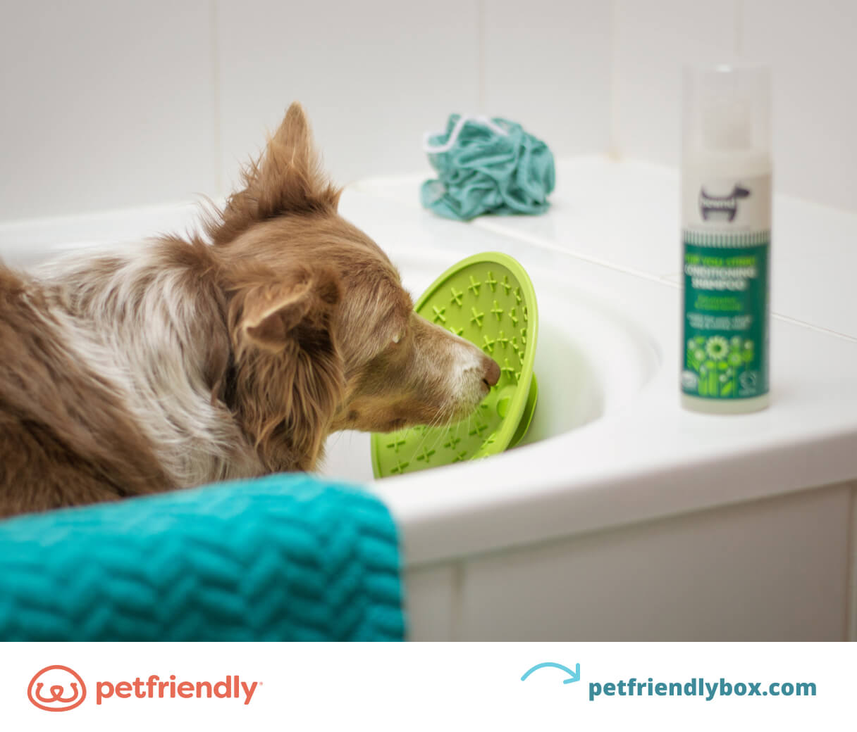 Does Dawn Dish Soap Kill Fleas on Pets Benefits and Risks