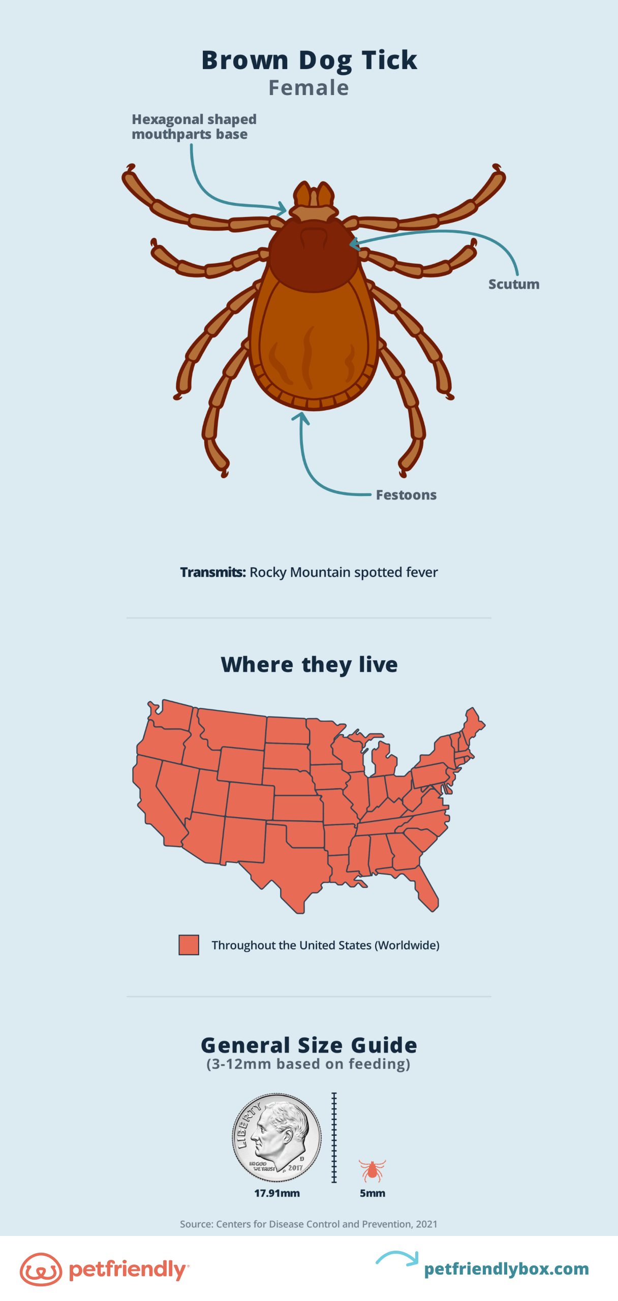 Brown Dog Ticks