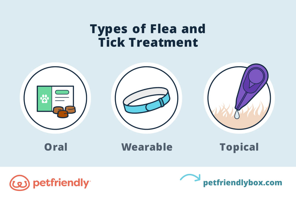 Types of Flea Treatment